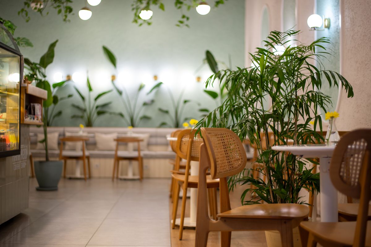 Cafe interior with wooden tables and trailing plants